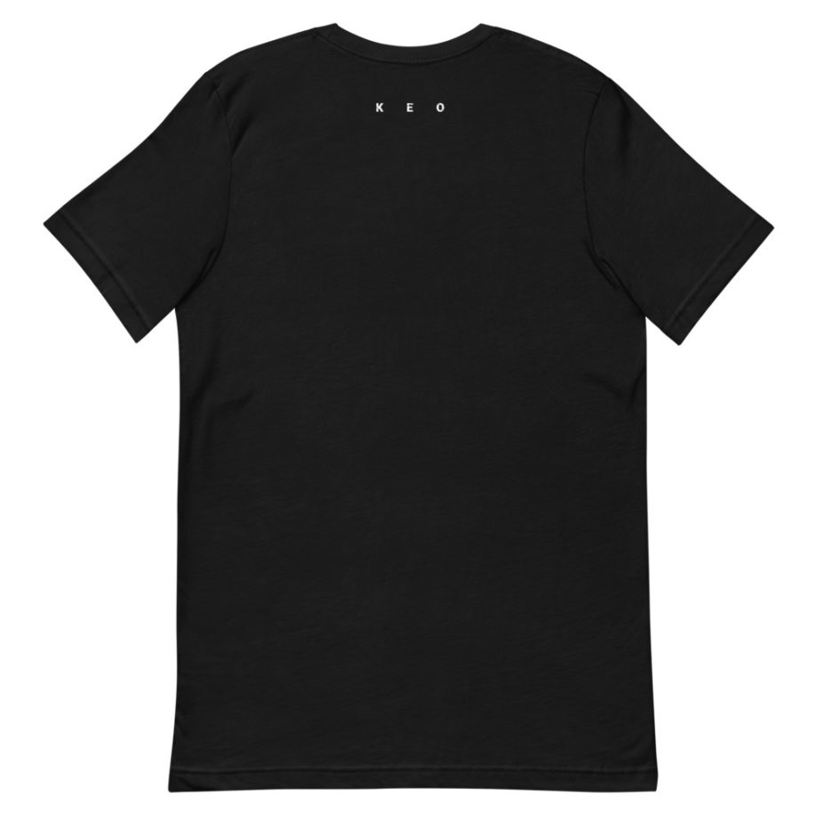https://merch.redcatpig.com/wp-content/uploads/2021/11/unisex-staple-t-shirt-black-back-6197bea28202f.jpg